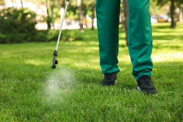 Best Exterminator Services  in Franklin Center, NJ