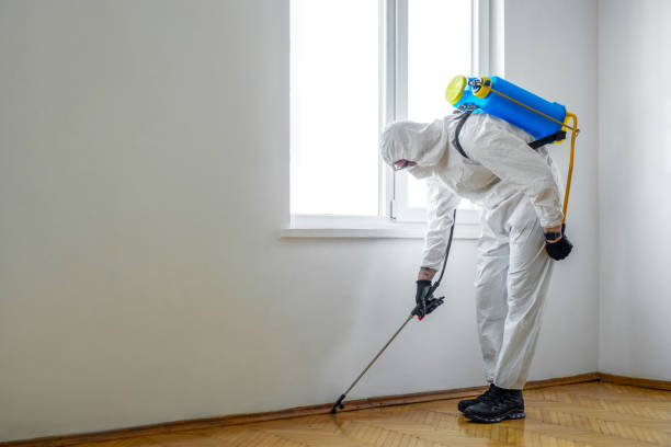 Best Emergency Pest Control  in Franklin Center, NJ