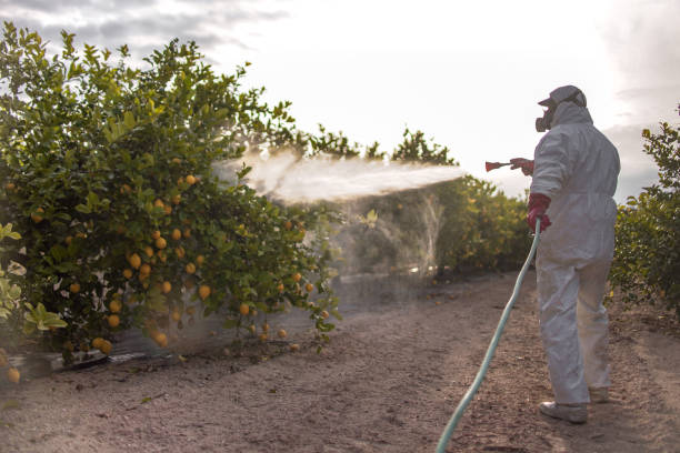 Pest Control Cost in Franklin Center, NJ
