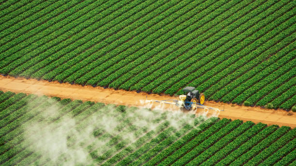 Best Commercial Pest Control Services  in Franklin Center, NJ