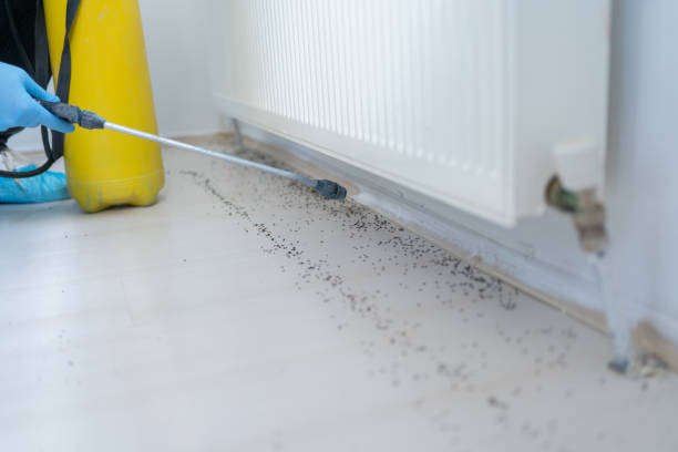 Best Pest Control Cost  in Franklin Center, NJ