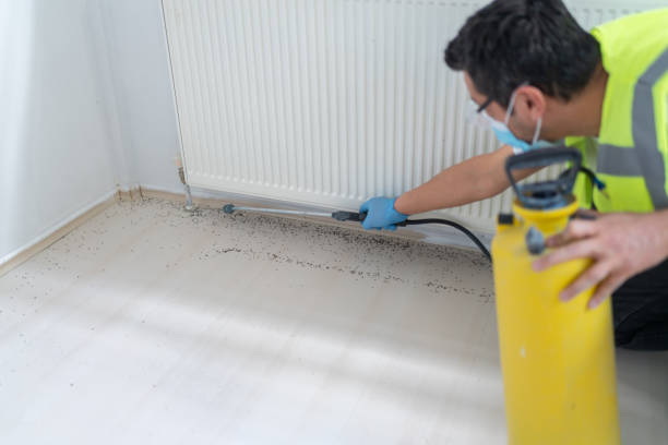 Best Pest Inspection Near Me  in Franklin Center, NJ