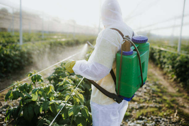 Best Commercial Pest Control Services  in Franklin Center, NJ